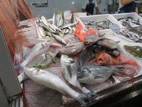 Gibraltar - Altstadt - Markthalle