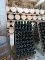 Mallorca - Weingut José L. Ferrer