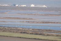 Flamingos und Salzgewinnung in den Marismas de Cádiz bei El Puerto de Santa María