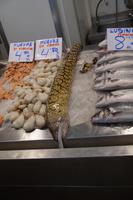 Muräne, hübsch dekoriert