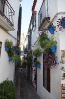 Blick aus der Blumengasse, Córdoba