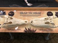 Sanibel Island - Ding Darling Visitor and Education Center