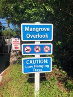 Sanibel Island - Ding Darling Nature Reservat - Mangroven