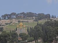 Die Maria-Magdalena Kirche