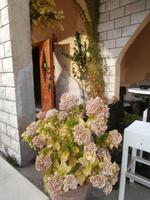 Weingut Matusko Winery in Potomje