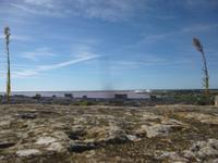Aigues Mortes 