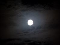 Hotel Cortijo Salinas bei Ronda (10)