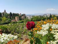 Besichtigung von Alhambra in Granada (20)