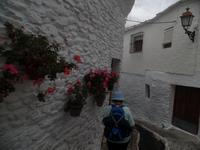 Bergwelt von Alpujarras (9)