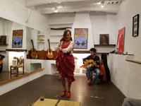 Flamenco Nacht in Alpujarras (2)