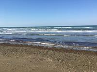 Am Strand des Kaspischen Meeres