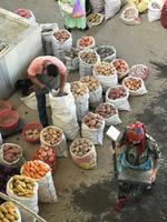 Samarkand Auf dem Basar