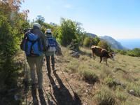 Wanderweg von Kosmac zur Küste