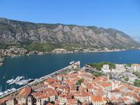 Kotor