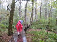 Biogradska Gora Nationalpark
