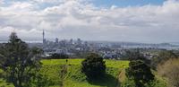 Stadtrundfahrt in Auckland - Mt. Eden