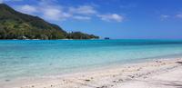 Moorea - Mittagessen auf Motu Fareone