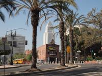 9_Stadtrundfahrt L.A. - Rathaus