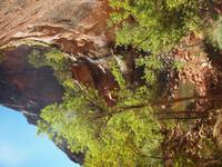 100_Zion Nationalpark