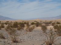 113_Death Valley - Sanddünen
