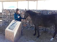 Bist du wild oder heute lieber kuschlig?