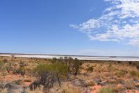 Mount Conner Lookout