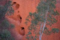 Uluru - Ayers Rock