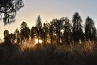 Uluru - Ayers Rock - Sonnenaufgang