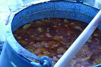 Weinlese auf dem Gut der Familie Pavlomir – Kroatischer Gulasch