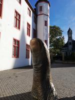 Koblenz