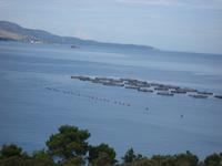 Blick aus dem Hotel in Saranda