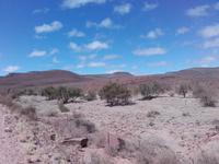 Wir lieben unseren Truck, aber heute wollen wir ein Stück der Tagesstrecke zu Fuß laufen