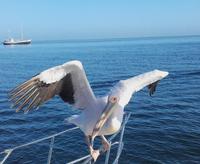 Auf Du und Du mit Lady Gaga