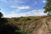 Auvers-sur-Oise, Feldweg