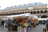 Obst- und Gemüsemarkt in Padua