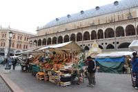 Obst- und Gemüsemarkt in Padua