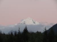 Tetnuldi