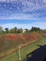 Indian Summer - ein bisschen