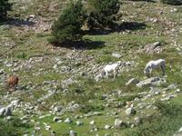 Val de Nuria