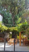 Spaziergang Limassol
