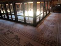 Paphos - Haus des Dionysos