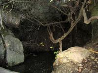 Naturschutzgebiet Akamas - Bäder der Aphrodite