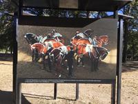 Dressur des Cadre Noir