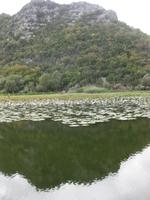 Bootsfahrt auf dem Rijeka Crnojevica 