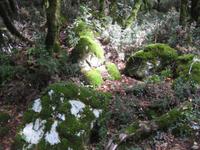Wanderung zum Kloster Ostrog
