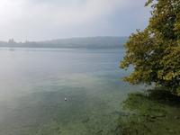 Insel Mainau (7)