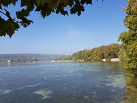 Insel Mainau (9)