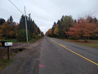 22. Landschaft von New Brunswick (3)