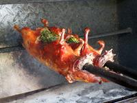 Gegrillte Meerschweinchen