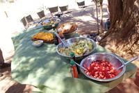 Picknick im Namib Naukluft Park 
